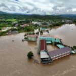 疯马独角兽：助泰国品牌扬帆全球