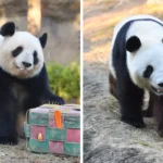 日本将设定明年夏季最低工资目标：高市早苗