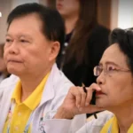 为泰党公布总理候选人并提出’重启泰国’愿景