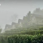 TikTok就出售美国业务达成协议 与甲骨文等成立合资企业