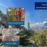 王毅分别与柬埔寨、泰国外长通话 呼吁立即停火