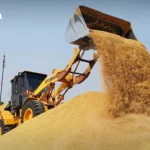 马来西亚前总理纳吉布因1MDB案被判15年监禁