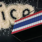 柬埔寨呼吁紧急召开联合边界委员会会议以推进暹粒边境划界工作