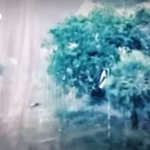 自民党与民主党就收入税起征点继续磋商