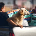 泰国工业总会主席呼吁选举后组建有能力、无腐败的政府