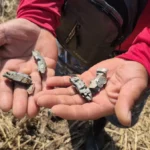 泰国能源部长下令设立应急能源监测中心应对泰柬边境动荡