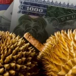 印度列车事故致七头大象死亡