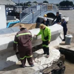 泰国财政部成功获得世界银行贷款及赠款用于海豚保护