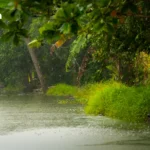 泰国南部严阵以待应对强降雨 上部地区气温骤降风势增强