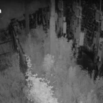 Netflix成收购华纳兄弟探索公司领先竞争者，每股报价28美元