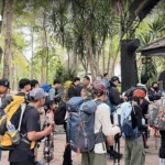 泰国男子在日本因大规模盗窃太阳能农场铜线被捕