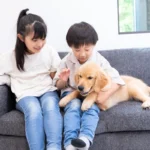 日本政府启动放宽工作时间规定讨论