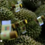 不丹2025年国庆日：庆祝团结与泰不关系深化