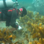 高市早苗承诺与中国展开对话 中日关系因台湾问题恶化