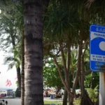 泰国边境贸易连续七个月下滑 柬埔寨边境贸易降至零