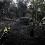 氰化物解析：微量剂量如何导致身体衰竭