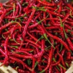 胡志明市加紧应对空气污染恶化问题