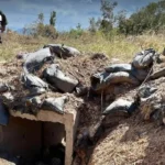 泰国发布海上安全新规：违规无人机及渔船将面临破坏罪指控