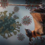 韩国青年东京站英勇救人25年后仍被铭记