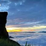 泰国房地产市场2025：危机中突围，开发商布局2026新战略