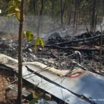 泰国FDA警告未经批准的草药吸入器注册号滥用