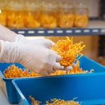 泰国实施玉米进口’无焚烧’认证政策 应对PM2.5污染危机