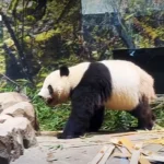 泰国政府加强工厂PM2.5管控 保障公众健康