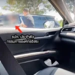 青岛港启用中国首套真空式自动化系泊系统 创全球海事物流新标杆