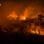 2026年曼谷音乐城：泰国全球创意出口的战略枢纽