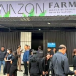 泰国交通部长宣布加强安全措施应对起重机事故，承诺追究责任方