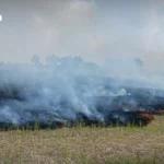 黄金延续涨势突破5200美元 大宗商品市场静待美联储决议