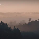 2026年泰铢走势分析：上半年或走强，下半年或走弱，金价创历史新高