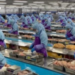 泰国绘制长期半导体发展蓝图 力争区域领先地位