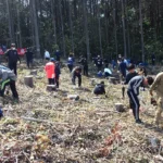 泰国南部三省11处加油站遭炸弹袭击