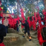 治理并非赌博：尤他昌南力挺‘每日百万富翁’幸运箱作为数字化改革关键