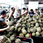 泰国选举委员会：截至2025年12月31日提前投票注册人数达884,290人