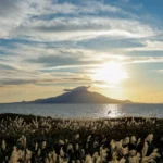 Mos Burger推出AI系统提升Drive-Through服务效率