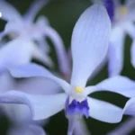 末日钟解析：其含义、读法及‘午夜’象征