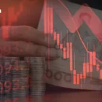 选举委员会禁止2月1日提前投票日销售酒精饮料及相关规定