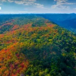 铃木退出泰国制造 福特收购Rayong工厂