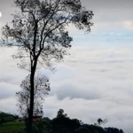 中国调整外汇储备策略：减持美债增持黄金，实际持有量或远超官方数据