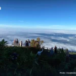 泰国金融科技生态能否超越区域碎片化？