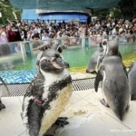 泰国总理阿努廷鼓励青少年树立远大目标 持续学习