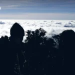 地缘动荡推高贵金属 2026年1月23日白银首破百美元 金价逼近五千关口