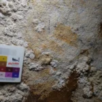 特朗普达沃斯演讲：称美国为全球经济引擎，称丹麦“忘恩负义”