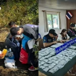 泰国出口2026年将恢复正常，船东协会警告增长放缓