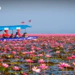 越南启动首项对泰国进口钢绞线的反倾销复审