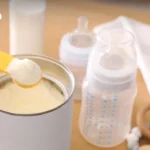 普吉岛七彩龙虾获地理标志认证 被誉为’海洋中的鹅肝’