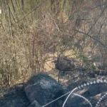 泰国央行回应美元监测名单：汇率稳定不受影响