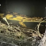 BTS巡演引发全球34城酒店搜索量激增 台湾高雄年增6700%